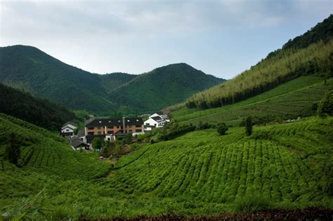 莫干山旅遊帶什麼?莫干山的自然美景與人文風情